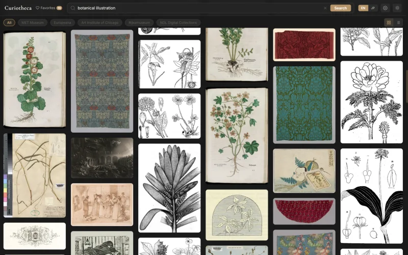 Curiotheca search UI
